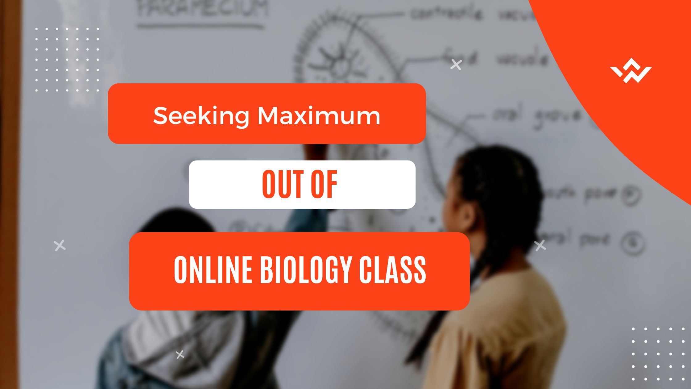 Seeking Maximum Out of Online Biology Class